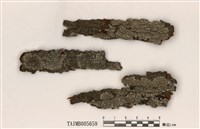 藏品(扁平黑囊基衣)的圖片